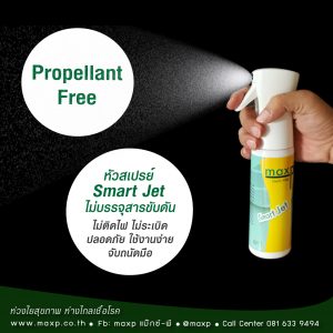 Germ Killer Flairosol 300 ml. กลิ่น Green Tea - Image 8
