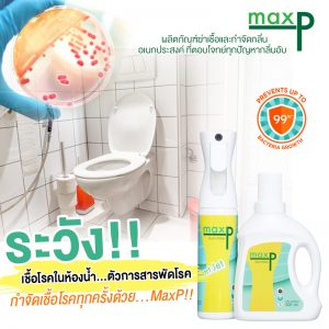 Germ Killer Flairosol 300 ml. กลิ่น Green Tea - Image 13