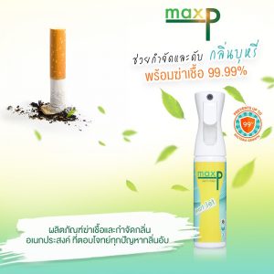 Germ Killer Flairosol 300 ml. กลิ่น Green Tea - Image 10